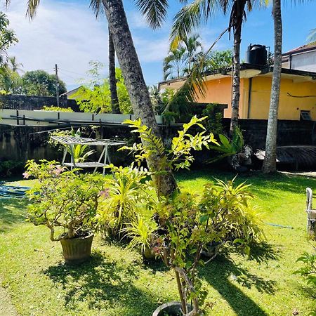 The Beez Otel Negombo Dış mekan fotoğraf