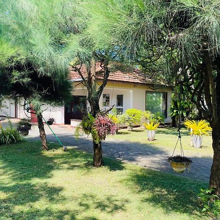 The Beez Otel Negombo Dış mekan fotoğraf