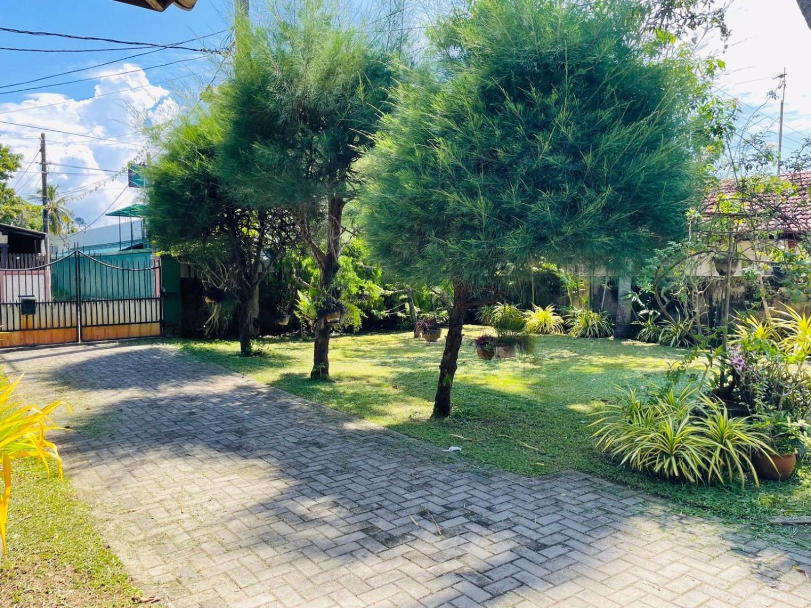 The Beez Otel Negombo Dış mekan fotoğraf